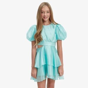 Brand New Bardot Girls Enya Organza Mini Dress In Minty